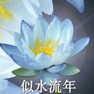 茅山斩妖记游戏下载